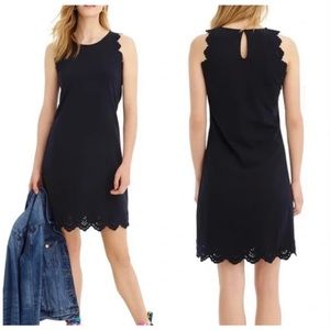 J. Crew navy shift dress